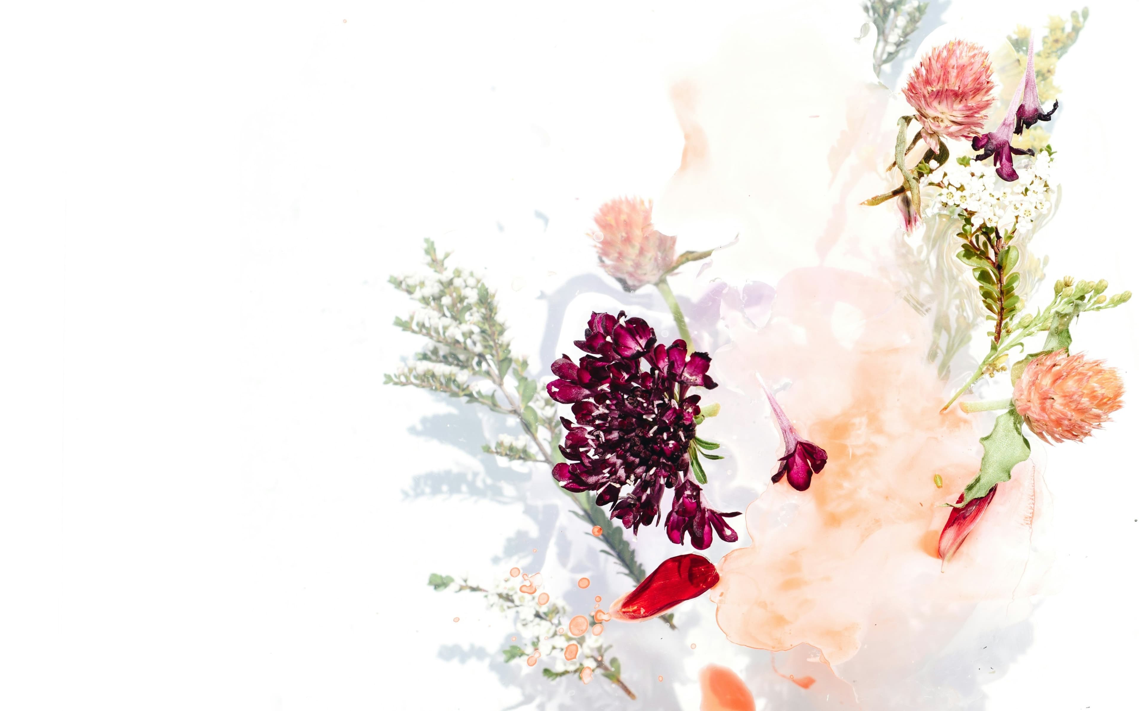 Image of flowers
