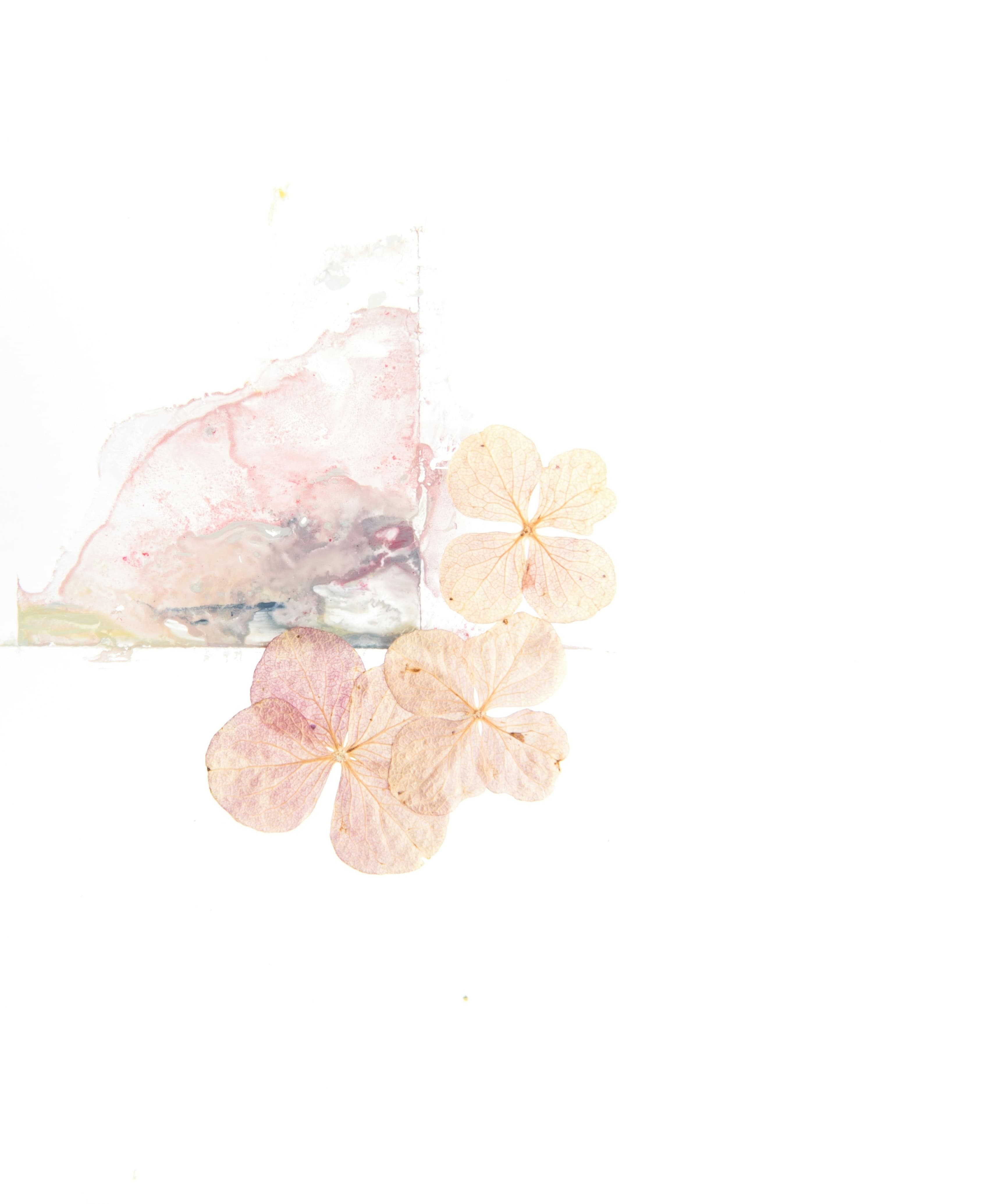 Image of flowers